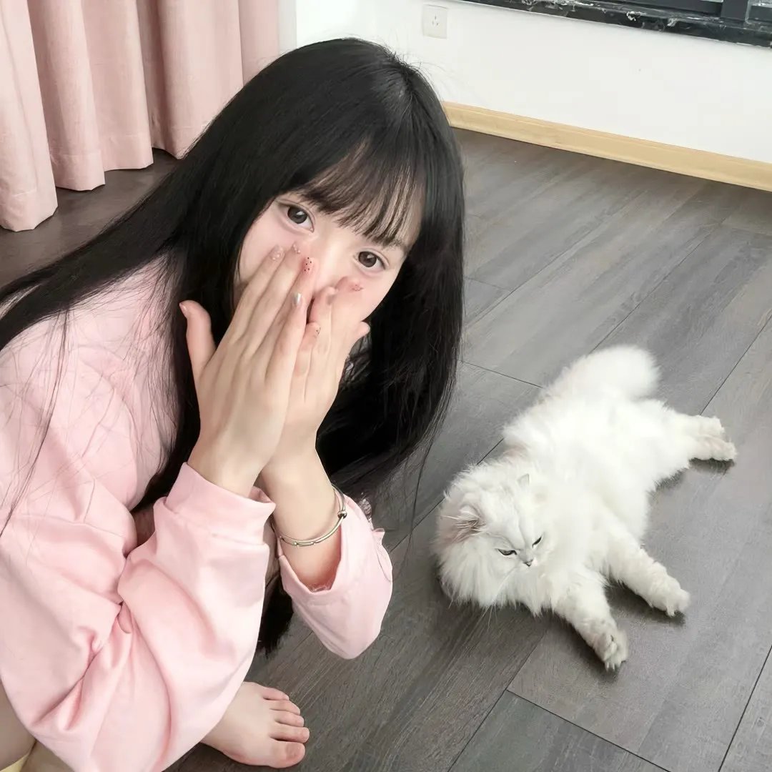 古立特宇宙